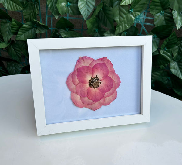 Trandafir roz 13x18cm