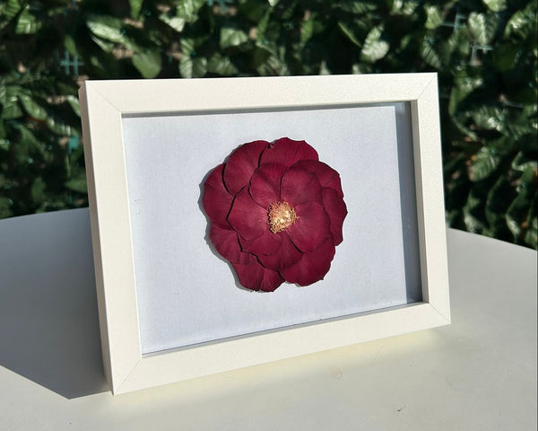 Trandafir roșu 13x18cm